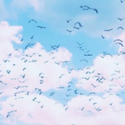 clouds birds 2